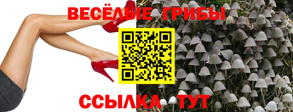 Псилоцибиновые грибы MAGIC MUSHROOMS Солнечногорск